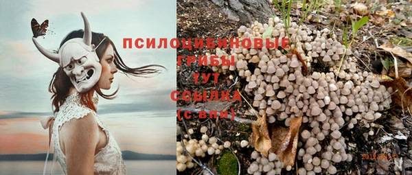 меф Гусиноозёрск