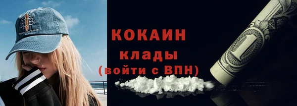 винт Абаза