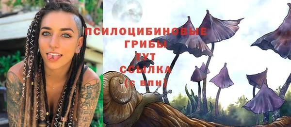 дмт Абдулино