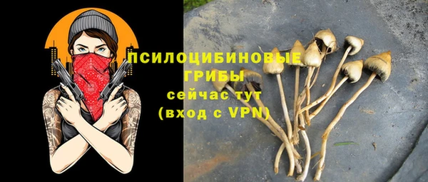 дмт Алзамай