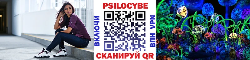 купить наркотик Балахна Псилоцибиновые грибы прущие грибы